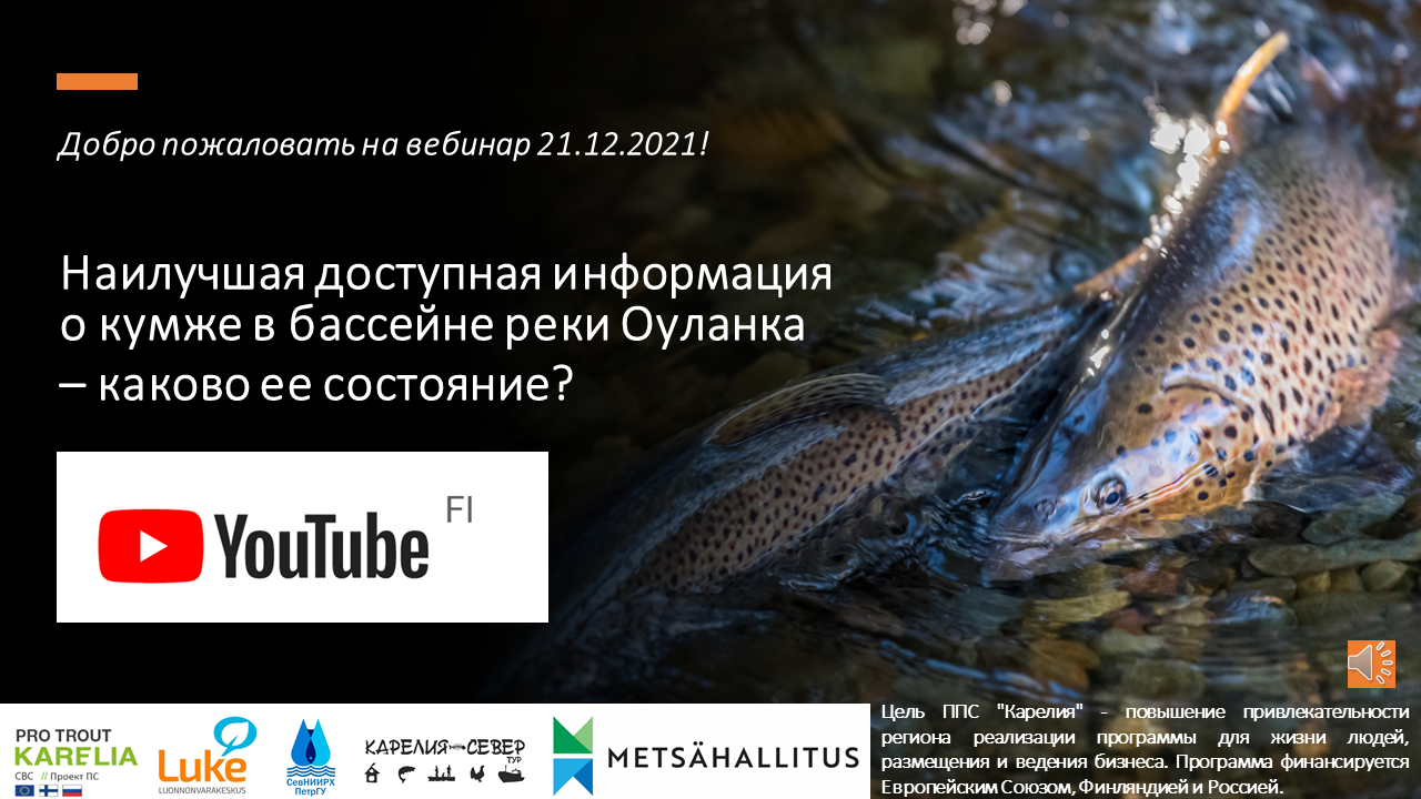 Name of the webinar in Russian, with two spawning brown trout in shallow water as the background.