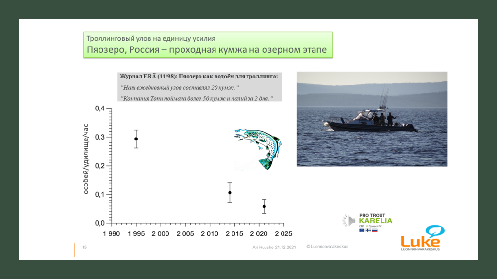 "Ari Huuskon webinaarissa esittämä tulos vetouistelemalla Venäjän Pääjärvestä saatujen taimensaaliiden muutoksesta 1990-luvulta 2020-luvulle."