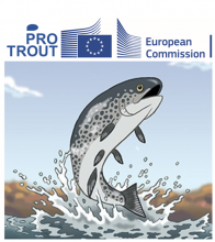 Jumping cartoon brown trout, above tect Pro Trout and the emblem of the European Commission.