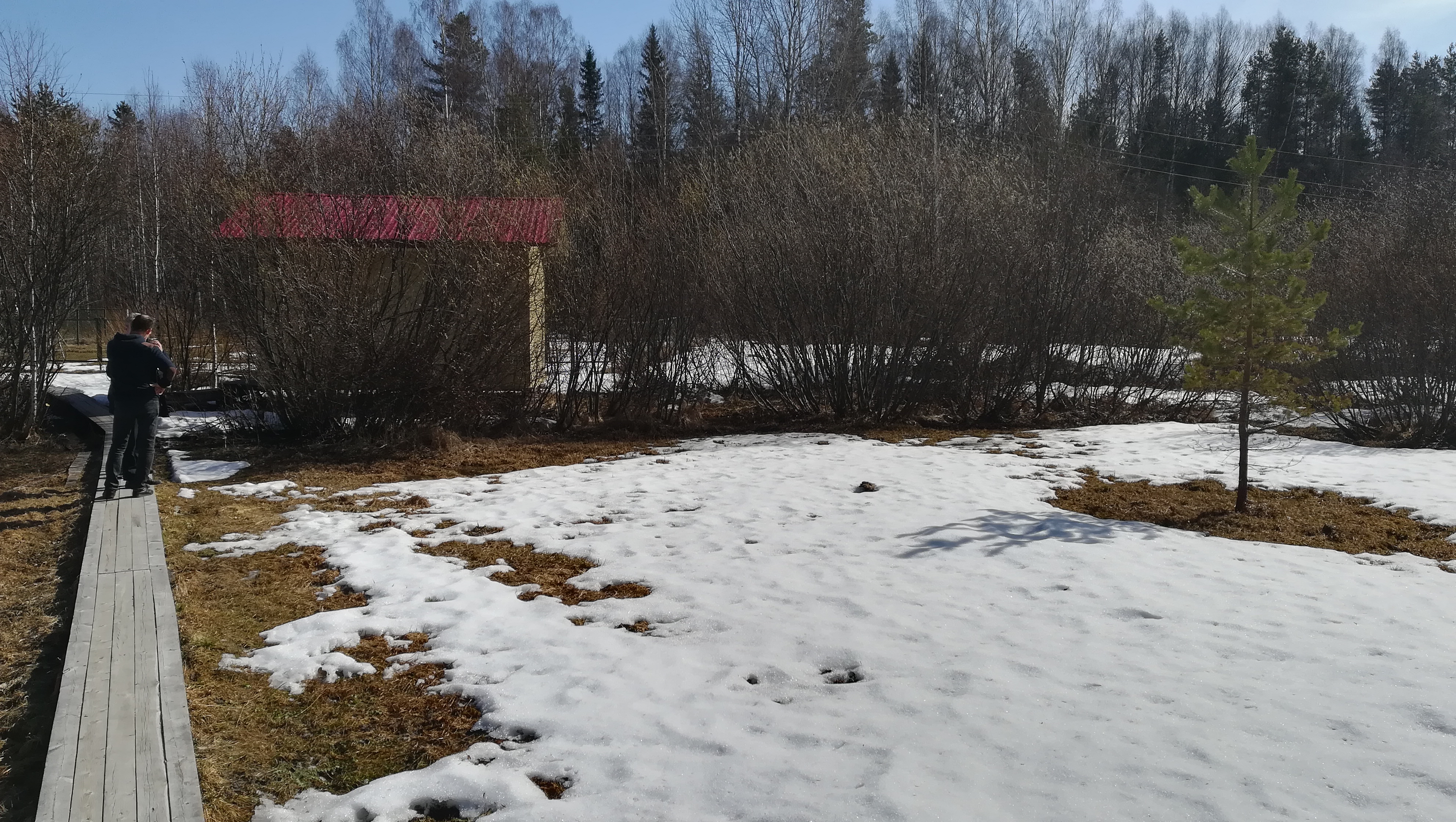 Solar power station future site