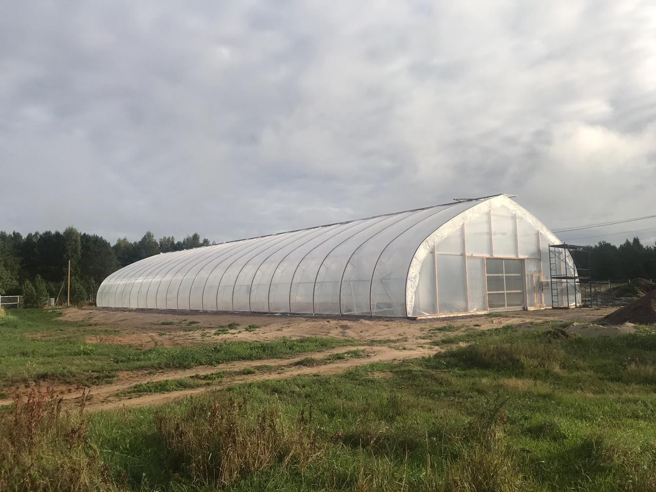 The frame of the greenhouse is ready and covered.