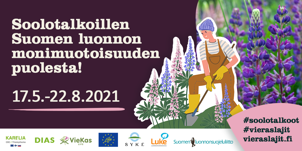 Soolotalkoillen Suomen luonnon monimuotoisuuden puolesta! 17.5.-22.8.2021