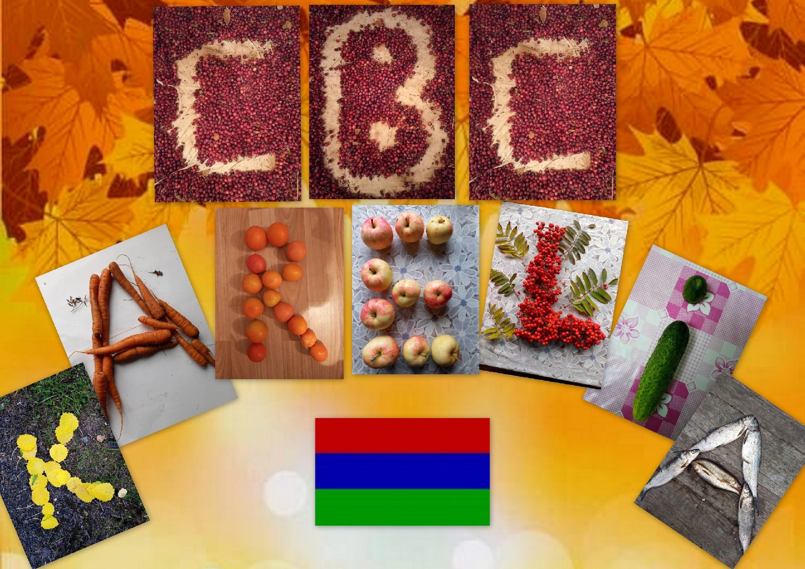 cbc karelia collage