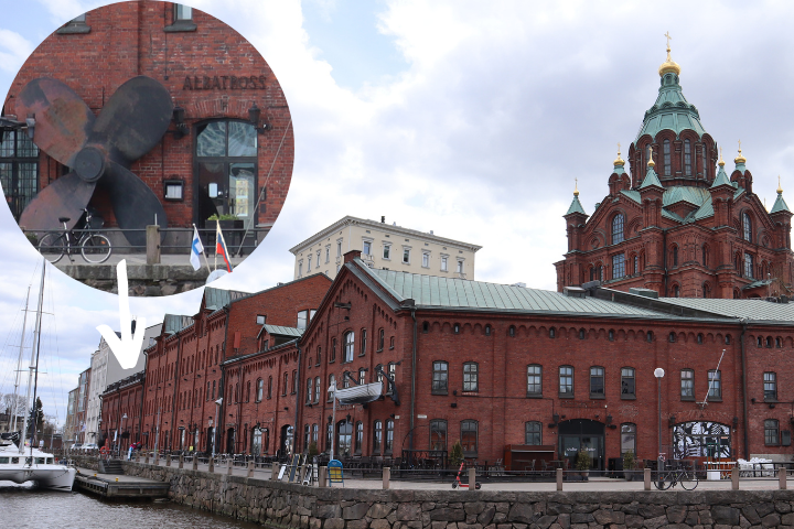 Finland-Russia-Society's cultural space Albatross