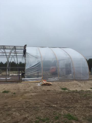 Greenhouse  construction 2